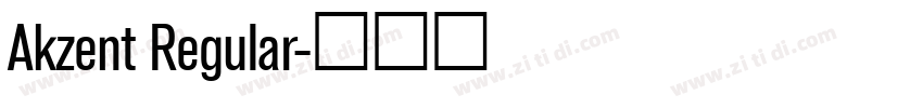 Akzent Regular字体转换